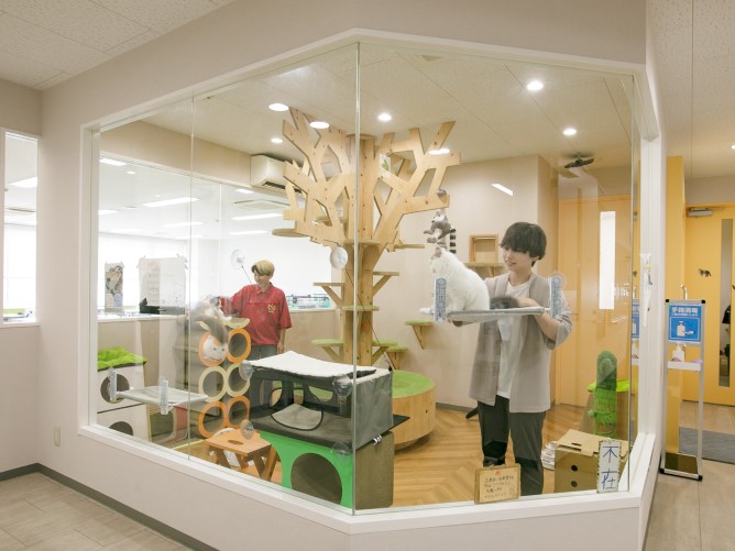福岡ＥＣＯ動物海洋専門学校のcampusgallery