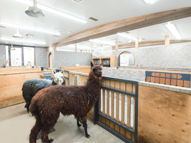 大阪ＥＣＯ動物海洋専門学校のオープンキャンパス