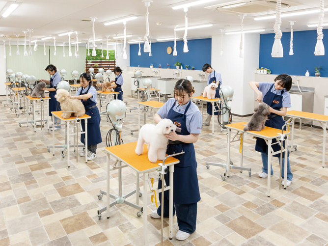 名古屋ＥＣＯ動物海洋専門学校のcampusgallery