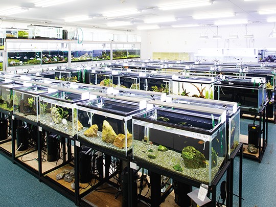 福岡ＥＣＯ動物海洋専門学校のcampusgallery