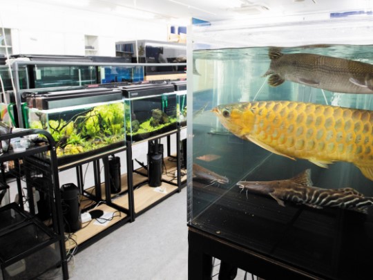 福岡ＥＣＯ動物海洋専門学校のcampusgallery