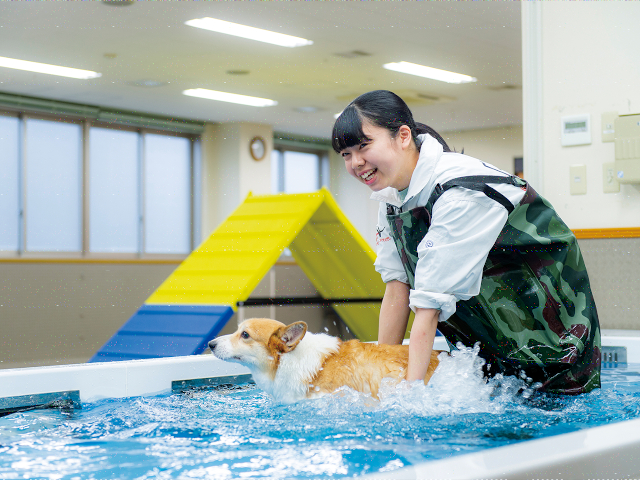 専門学校ルネサンス・ペット・アカデミーのオープンキャンパス