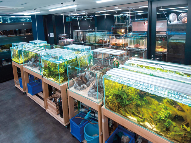 ＴＣＡ東京ＥＣＯ動物海洋専門学校のcampusgallery