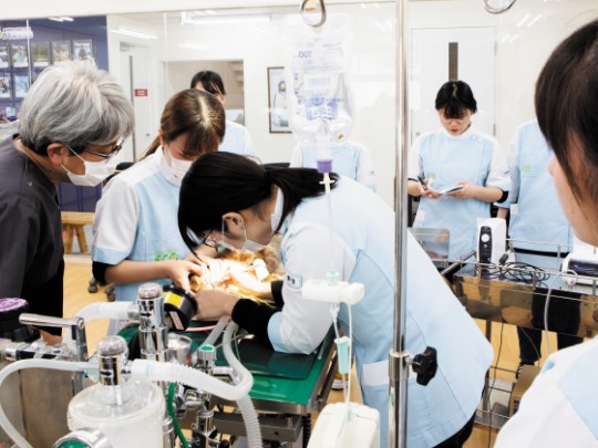 福岡ＥＣＯ動物海洋専門学校のcampusgallery