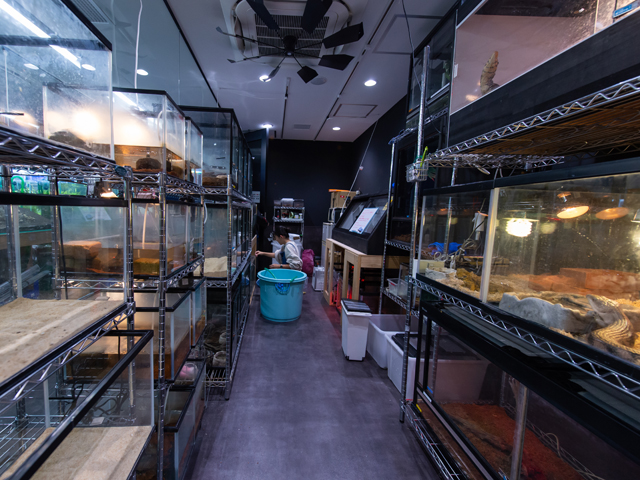 ＴＣＡ東京ＥＣＯ動物海洋専門学校のcampusgallery