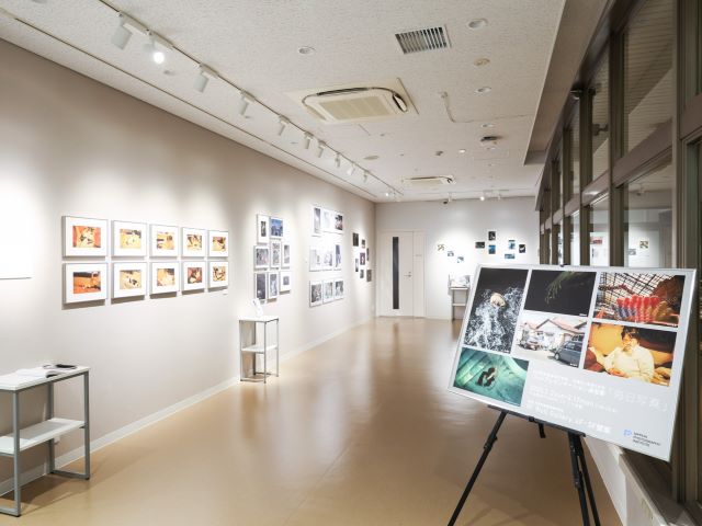 ウォールギャラリー