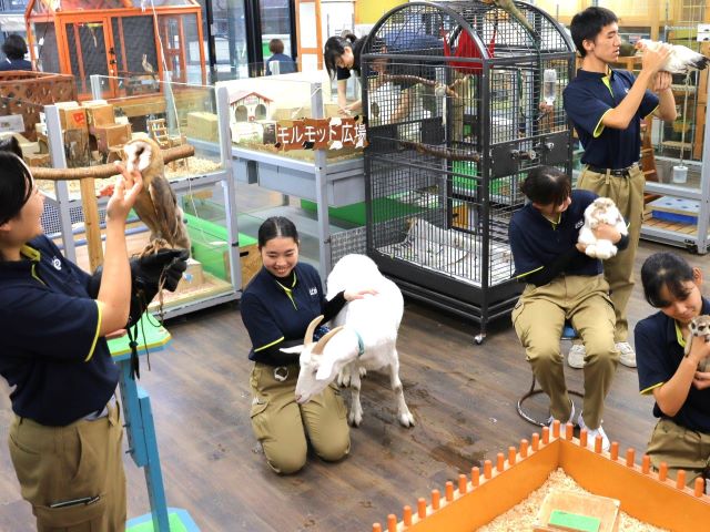 ＴＣＡ東京ＥＣＯ動物海洋専門学校のcampusgallery