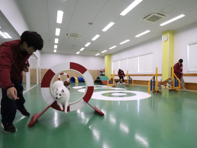福岡ＥＣＯ動物海洋専門学校のcampusgallery