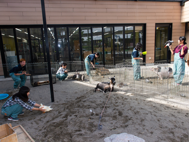 ＴＣＡ東京ＥＣＯ動物海洋専門学校のcampusgallery