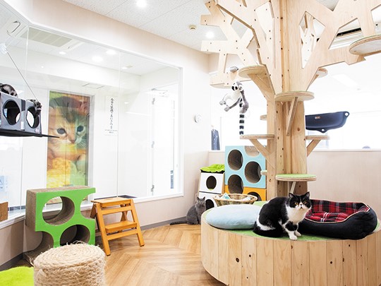 福岡ＥＣＯ動物海洋専門学校のcampusgallery