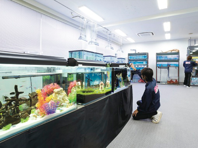 沖縄ペットワールド専門学校のオープンキャンパス