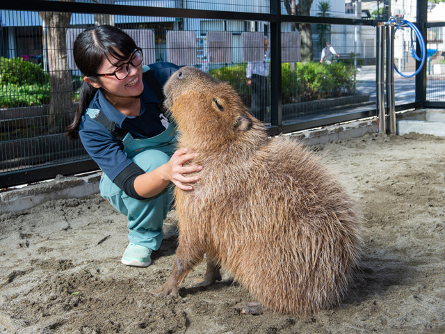 ＴＣＡ東京ＥＣＯ動物海洋専門学校のcampusgallery