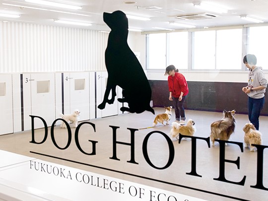 福岡ＥＣＯ動物海洋専門学校のcampusgallery