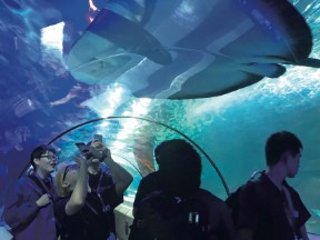 福岡ＥＣＯ動物海洋専門学校の研修旅行