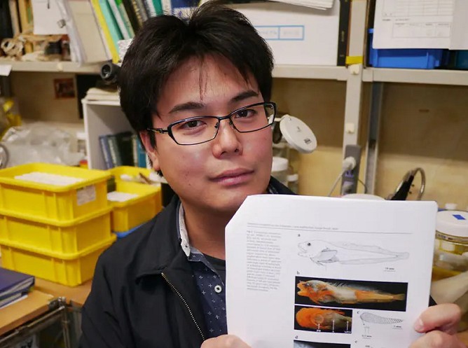 日本さかな専門学校の講師
