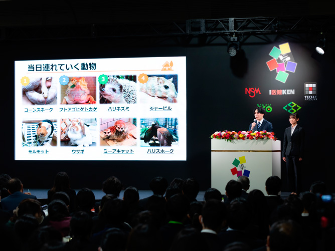 名古屋ＥＣＯ動物海洋専門学校の卒業作品・卒業制作