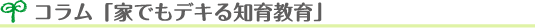 コラム「家でもデキる知能教育」