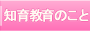 知育教育のこと