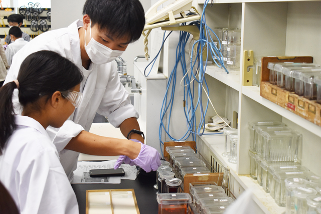 生命科学体験講座～いのちを体験しよう～1