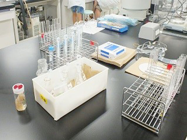 夏休み親子科学講座「消化から学ぶ酵素のはたらき」2