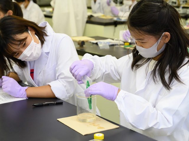 ひらめき☆ときめきサイエンス－金沢医科大学プログラム－
「からだを透かして見てみよう　－透明人間できるかな？－2024」
2