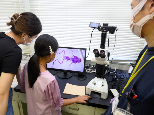 ひらめき☆ときめきサイエンス－金沢医科大学プログラム－
「からだを透かして見てみよう　－透明人間できるかな？－2024」
3