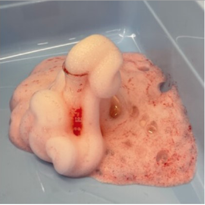 ひらめき☆ときめきサイエンス～ようこそ大学の研究室へ～ＫＡＫＥＮＨＩ プログラム概要
食事をエネルギーに変える力が地球を救う～身近な触媒の科学に触れてみよう！1