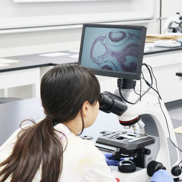やってみよう！実験・医療職体験1