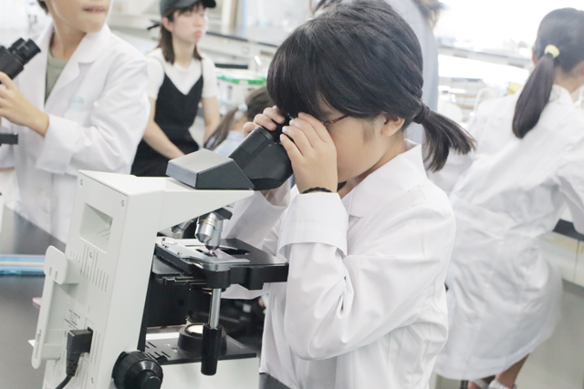 臨床検査技師の仕事を体験してみよう！
～顕微鏡で見える検査の世界～1
